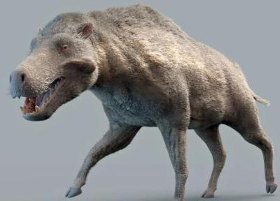 این خوک باستانی مرگبار 20 میلیون سال پیش در زمین حکمرانی می کرد، عکس